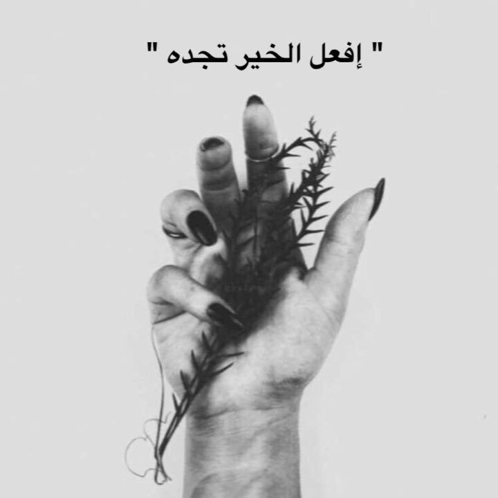 shatato_o's profile picture. ..