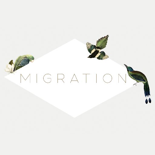 Migration Boutique