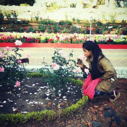 Sonanchal1's profile picture. 