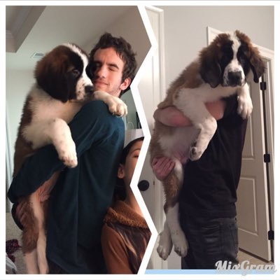 Tylerdelgado18's profile picture. Must know... adrenaline junkie, would love to explore the world. I'm a quite simple person