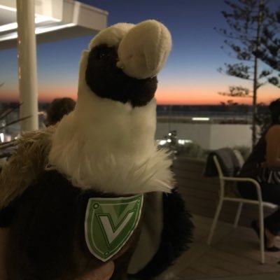 Vanny the Veeam Vanguard Vulture - fun account, all tweets are posted in good humour, and do not represent the views of Veeam software