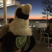 VannyVanguard (@vannyvanguard) 's Twitter Profile Photo VannyVanguard (@vannyvanguard) 's Twitter Profile Photo