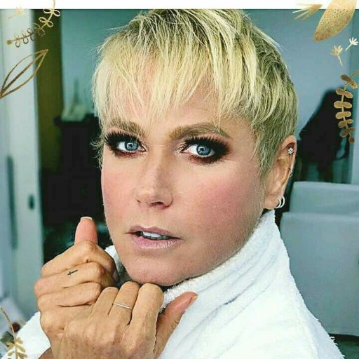 todos seguidores da xuxa e fãs somos equipe atualizada em tudo .twitter tv xuxa,xuxa .com