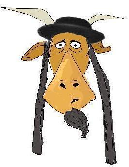 HaDvash's profile picture. 