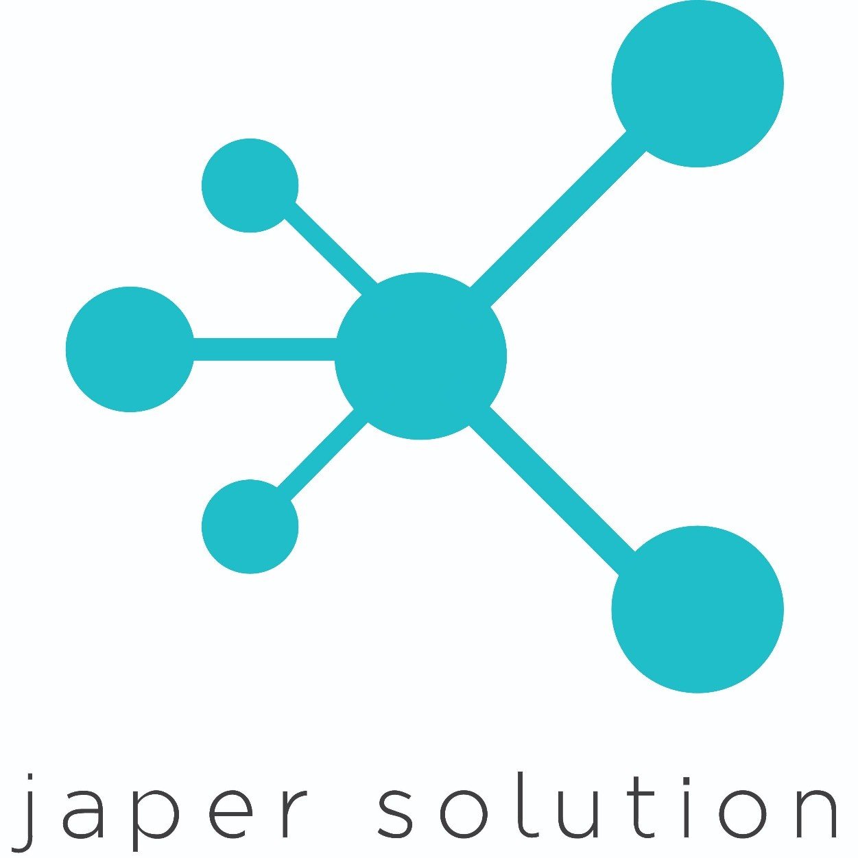 Japer Solution Profile