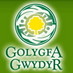 Golygfa Gwydyr (@golygfagwydyr) Twitter profile photo