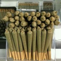 الفارسة المصرية (@w4sd2isy1bzamxt) Twitter profile photo