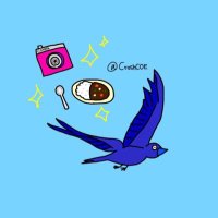 コー@かめらがかり (@crashcoe) 's Twitter Profile