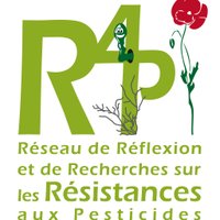 R4P (@r4p_network) 's Twitter Profile