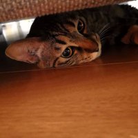 あきゆ (@aky_by_aky) 's Twitter Profile