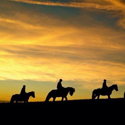 Derbyshire Pony Trekking