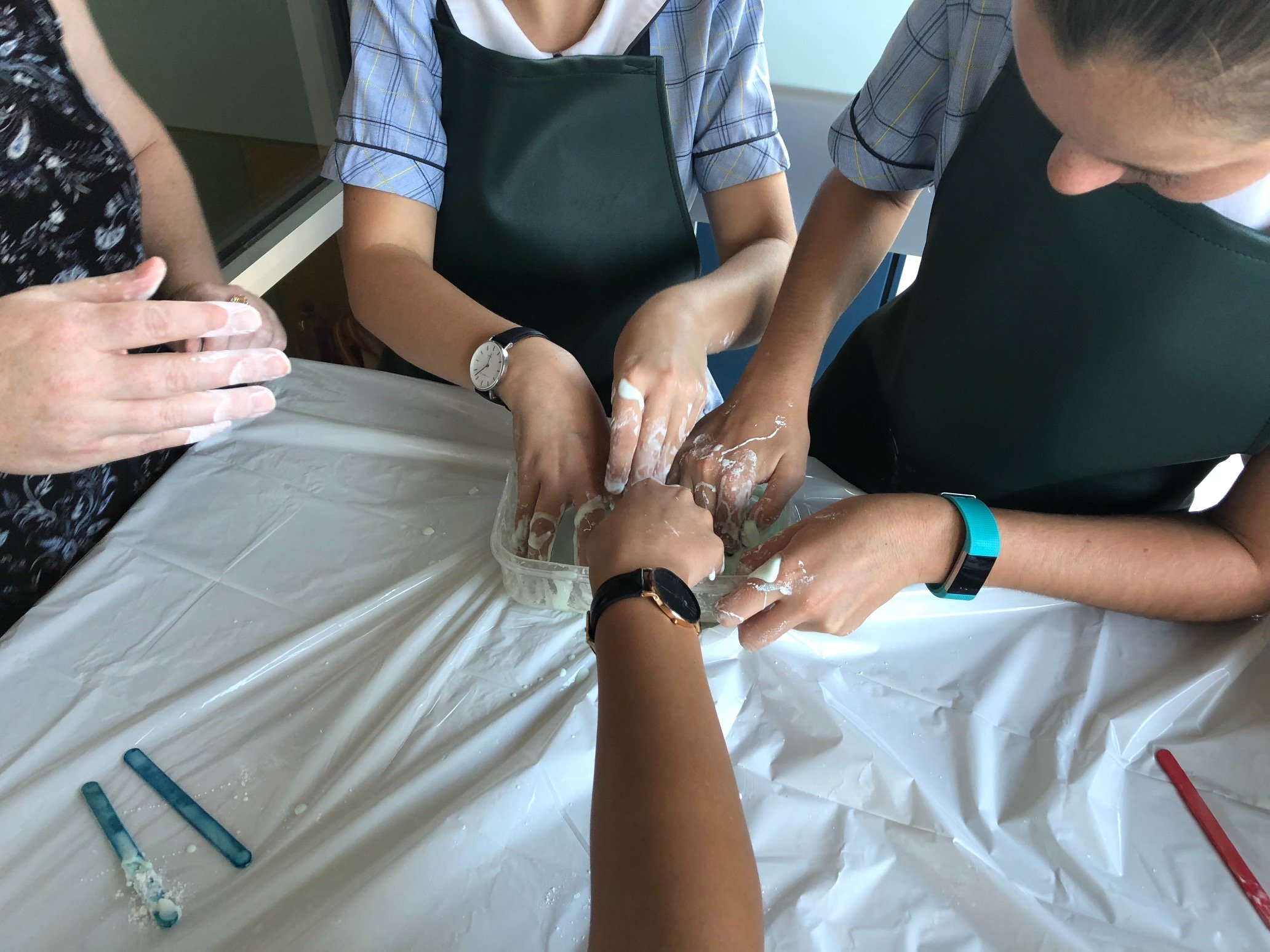 MDCCsteam's profile picture. Mater Dei Catholic College Year 8 STEAM (Science, Technology, Engineering, Art and Mathematics)