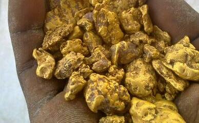 GumboCharepa's profile picture. Looking unto the vision....., Golddust