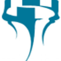 Deloitte NK Schaken (@nkschaken) 's Twitter Profile