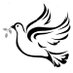 Buffalo Quakers (@buffaloquakers) Twitter profile photo Buffalo Quakers (@buffaloquakers) Twitter profile photo