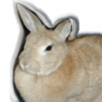 ヨッス (@tarayossu) Twitter profile photo