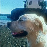 jonathan (@jonycheis) 's Twitter Profile