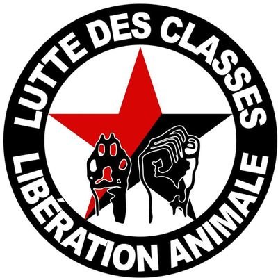 Je défends les animaux et si tu ne les aimes pas, que tu es chasseur...alors dégages!
#GoVegan