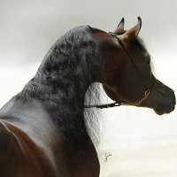 الذهب (@al_thhp) 's Twitter Profile