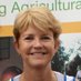 Ann Tutwiler (@anntutwiler) Twitter profile photo Ann Tutwiler (@anntutwiler) Twitter profile photo