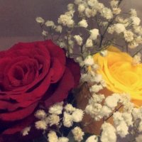 عبير الورد (@suii77) 's Twitter Profile Photo عبير الورد (@suii77) 's Twitter Profile Photo