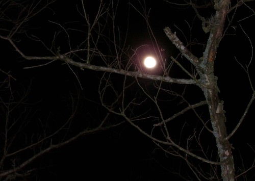 HereticalNumero's profile picture. Director and founder of The Seeker's Round Table, Julia is a professional numerologist, teacher and a 7th generation dowser and student of 'The Gift'