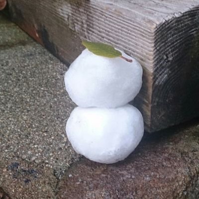じじじさんのプロフィール画像