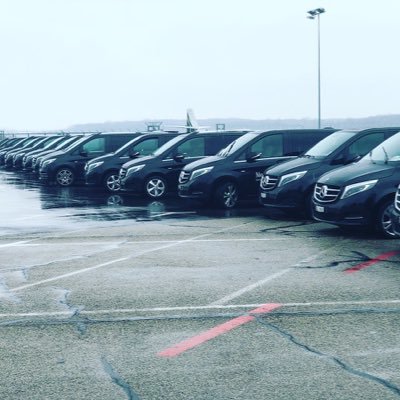 suissetravel's profile picture. Limousinne