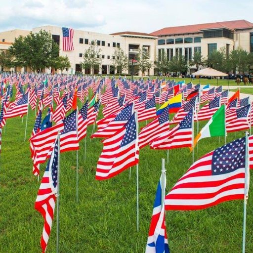 IntercambioCog's profile picture. 