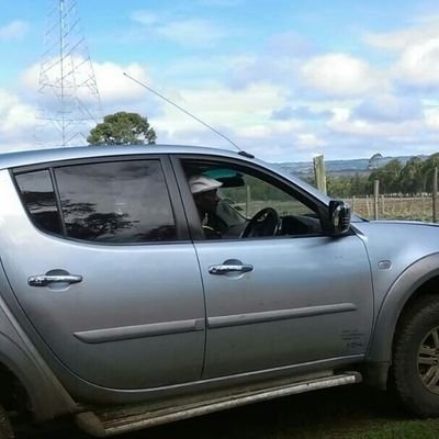 Toshriz1's profile picture. Everyone knows, what doesn't kill you only makes you stronger. So when you're pulling me down, you're only helping me last longer