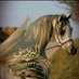 🇸🇦البيرق🇸🇦 (@to0071t0) Twitter profile photo 🇸🇦البيرق🇸🇦 (@to0071t0) Twitter profile photo
