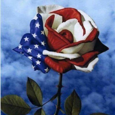 Love 4 Family,Flag,God &Country.Proud Daughter/Sister/Aunt Of Army,Air Force&Navy Men.NY Born &Raised.TrumpTrain,1ST&2ND AMEND,BackTheBlue, TRUMP2024#MAGA45