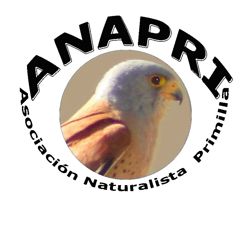 anapricolmenar Profile Picture