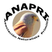 ANAPRI(@anapricolmenar) 's Twitter Profileg