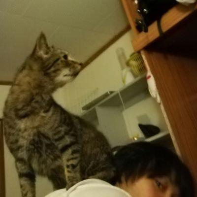 おおたき しゅさんのプロフィール画像