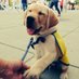 DogFest Montgomery County (@dogfestmoco) Twitter profile photo DogFest Montgomery County (@dogfestmoco) Twitter profile photo