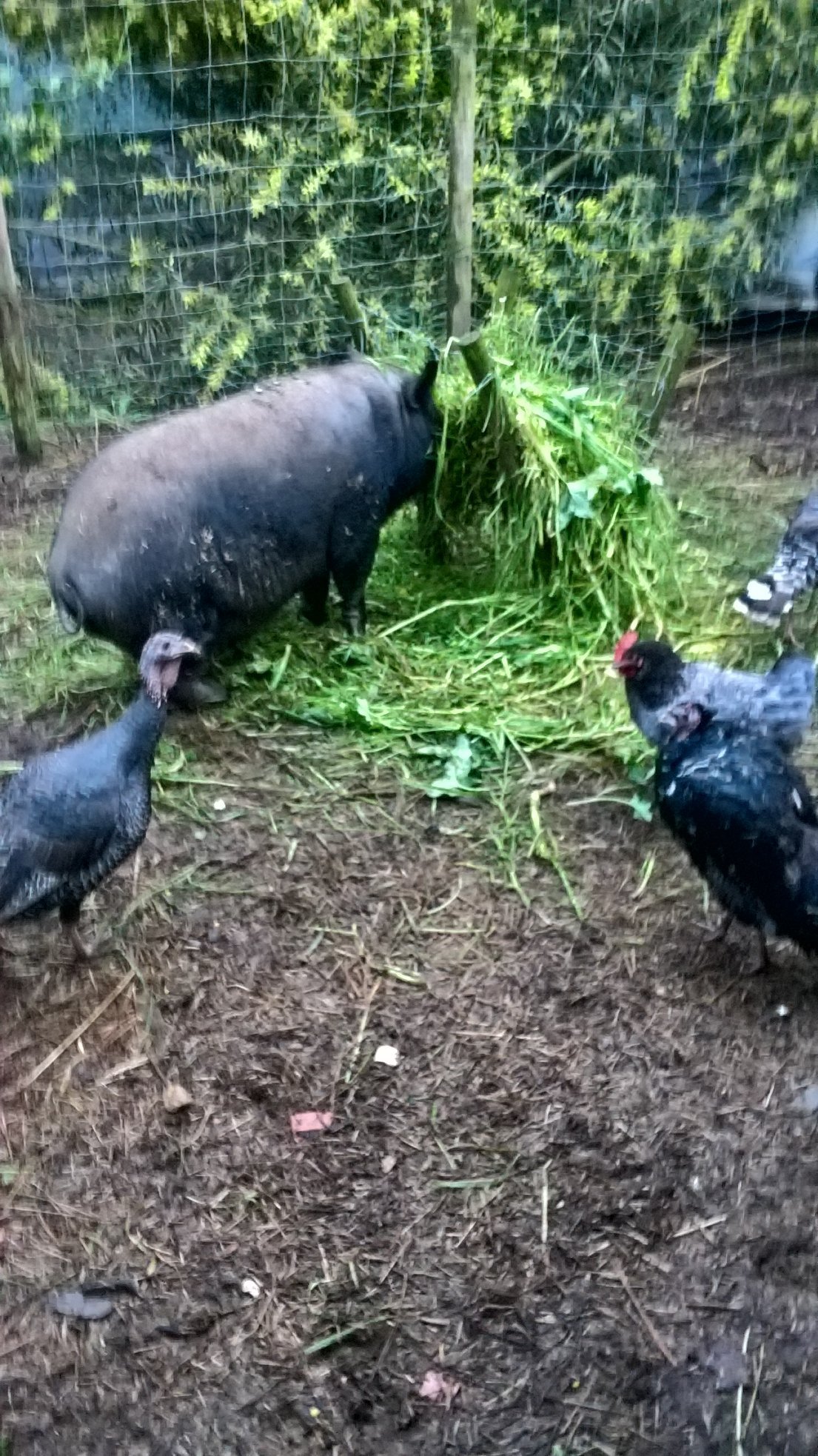 Theoverlander1's profile picture. Het is echt allemaal zo erg niet.
Hoog, kijk omhoog daar is de blauwe lucht.

psycho for life!