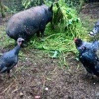 TheoVerland (@theoverlander1) 's Twitter Profile