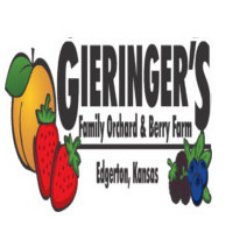GieringersFarm's profile picture. We’re a family owned U-pick farm in Edgerton, Kansas. We grow Strawberries, Blueberries, Blackberries, Peaches, Tomatoes, Sweet Corn & Pumpkins.