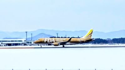 bsfstudio1's profile picture. 