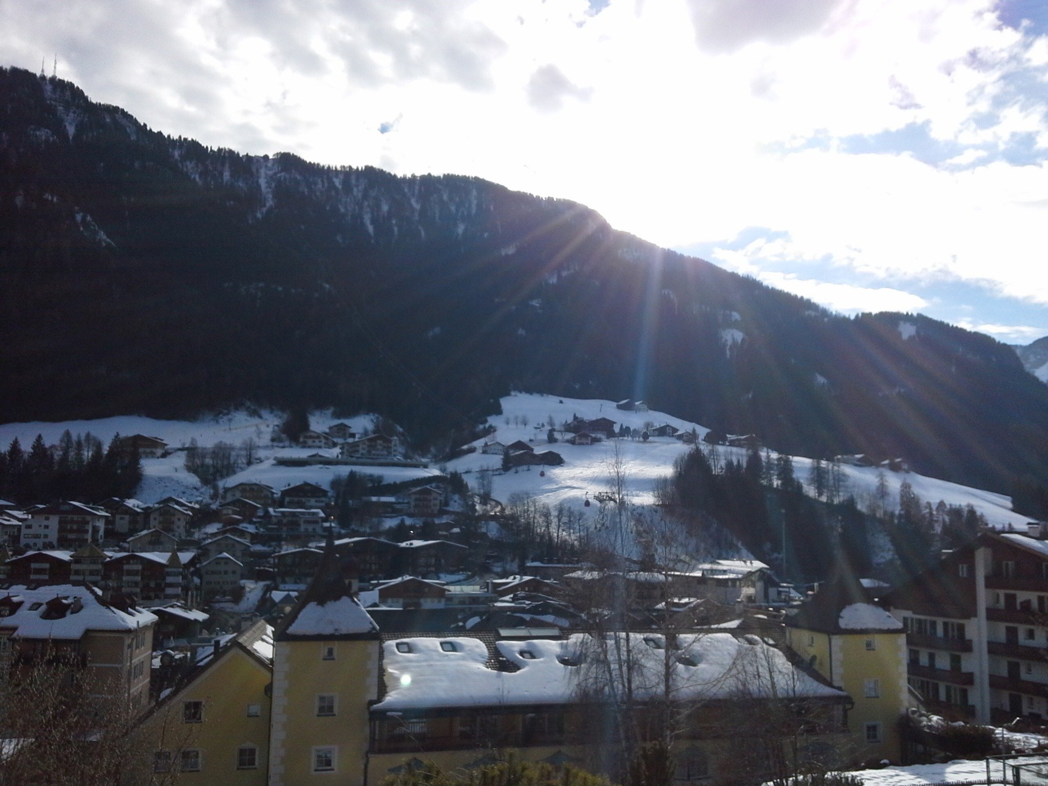 andrea_lefler's profile picture. 