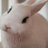 Gominha1's profile image