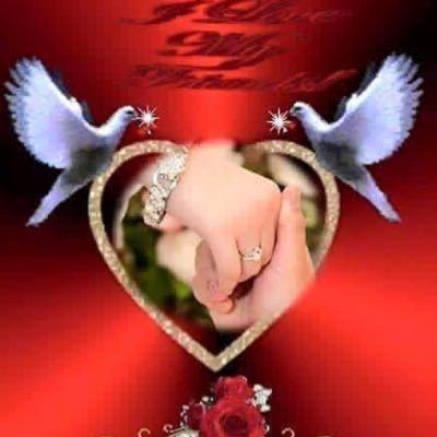 Cn82938961Co's profile picture. 