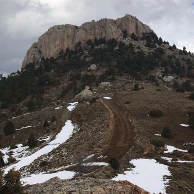 poyrazarslan181's profile picture. 