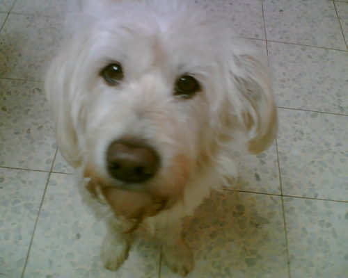 idogaver's profile picture. if you are not an MD, don't call yourself doctor