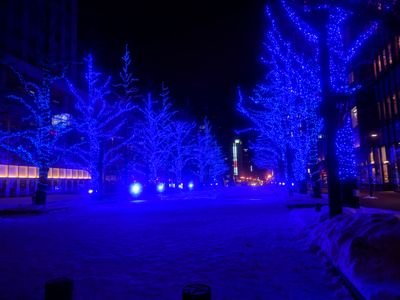 happyinhokkaido's profile picture. 春から北海道大学！