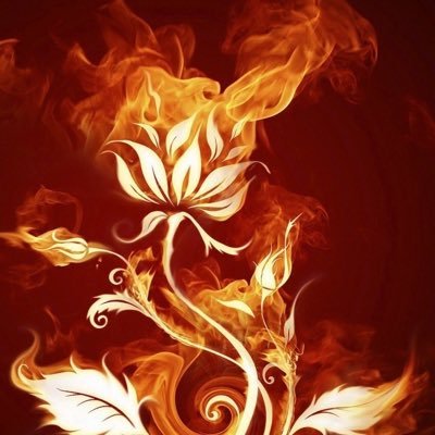 TheTropicbird's profile picture. ウィンドサーフィン、自転車、テニスを趣味にしています。 震災後は雨の予報がなければ自転車通勤も。 風が吹かなければ、荒川沿いを自転車で走り回っています。