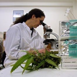 The Best Dispensary that is global, Secured and Reliable. We aim to provide a solution to our customers anywhere across the World.