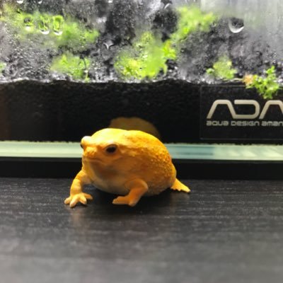 kero_kero_aqua's profile picture. 海釣り/アクアリウム/スマホゲーム 原神  鳴潮　ドラゴンボールレジェンズ