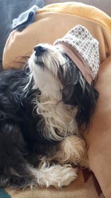 elefant1311's profile picture. Living on the edge of the supported world